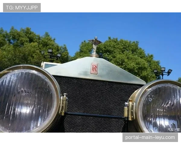 实力排行榜(第一期):王牌、自由人、阳光位列联盟前三 实力排行榜(第一期):王牌、自由人、阳光位列联盟前三